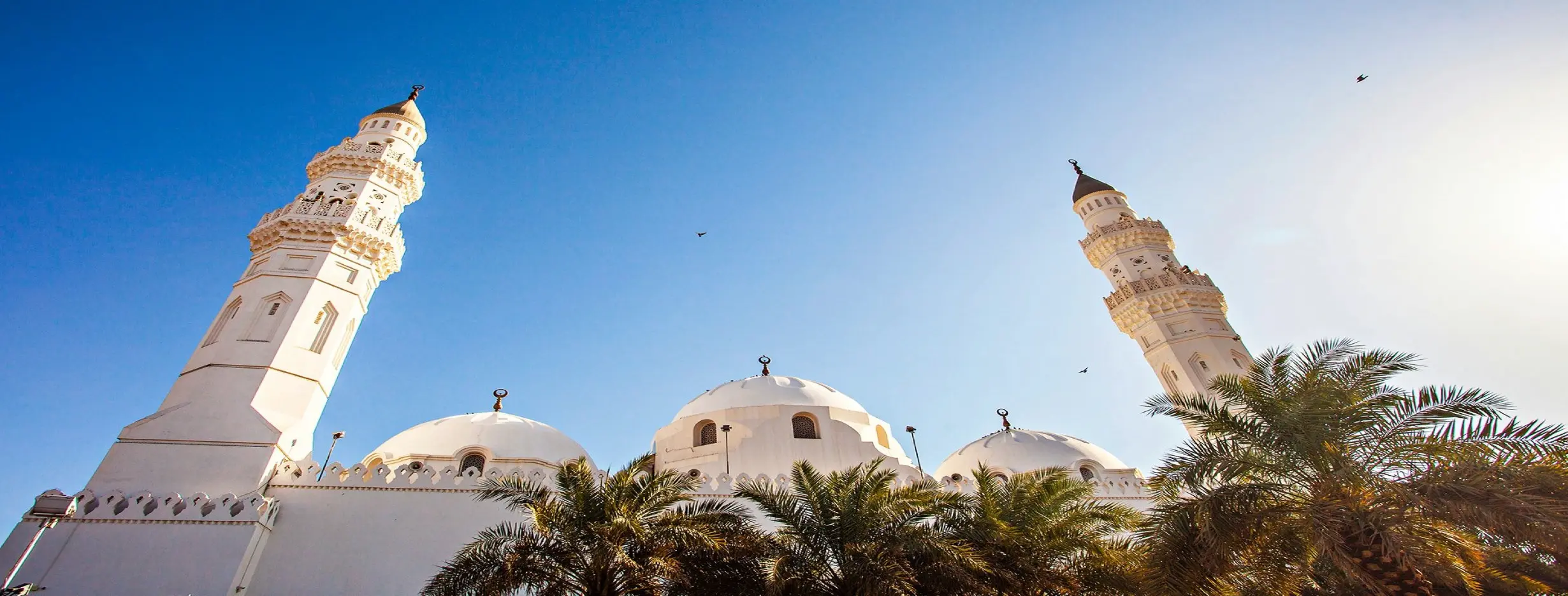 Image for Quba Mosque Trip